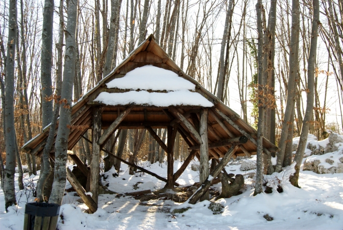 20111231 141341.jpg